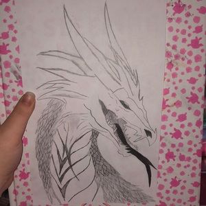 Dragon Sketch